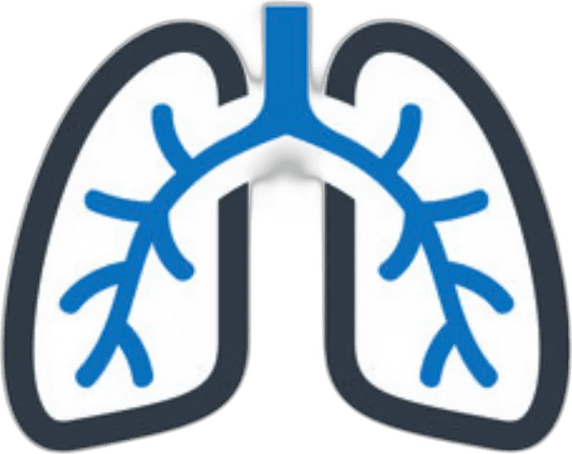 NDD Spirometer Mouthpiece (Single)